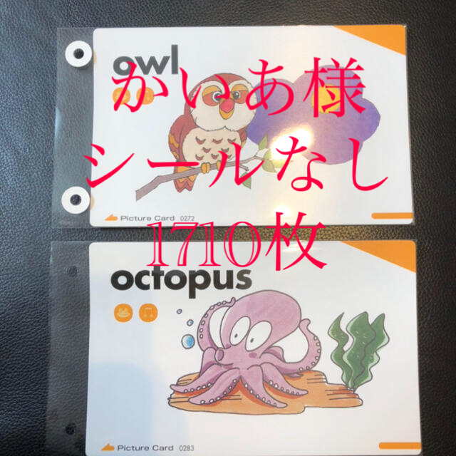 【最速発送】ペッピーキッズクラブ　モラモラピクチャーカード　収納袋　ファイリング