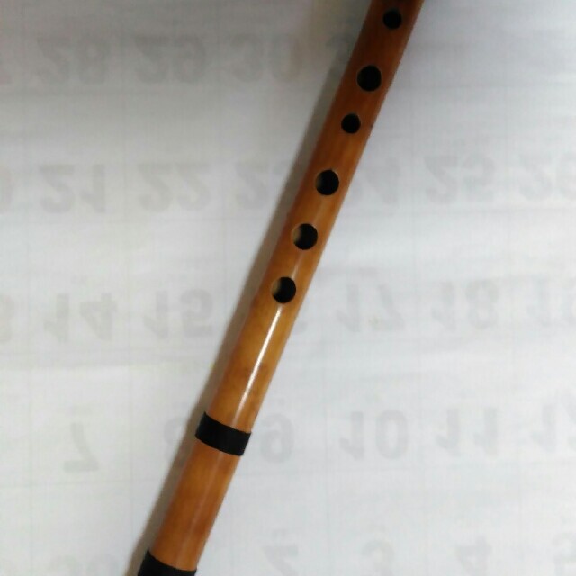 ケーナ melollevo.com.bo