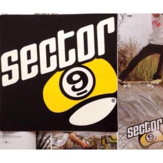 セクター(SECTOR)のsector9セクター限定longsk8 BIGディーラー　ステッカー　１点物(その他)