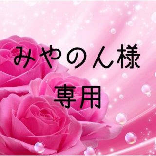 みやのん様専用  お米 令和2年 愛媛県産あきたこまち 玄米 30kg(米/穀物)