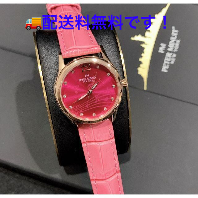 新品 PETER MINUIT ピーター・ミニュイット クォーツPM293-F www.metka