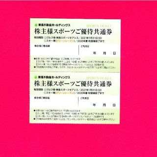 東急不動産 株主優待 スポーツ優待共通券 スポーツオアシス スキー 2枚(フィットネスクラブ)