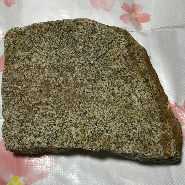 蛭川石　4.5kg（平らなもの）　0.443μSv/h