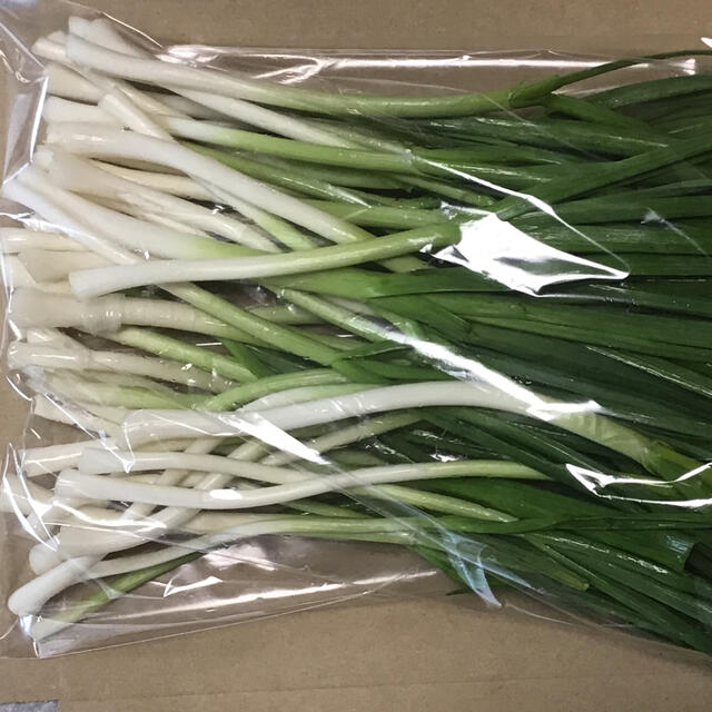 葉にんにく 300g  朝採り新鮮 島根の高原野菜 食品/飲料/酒の食品(野菜)の商品写真