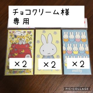 チョコクリーム様 専用(その他)