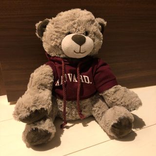 ハーヴァード(HARVARD)のハーバード　テディベア(ぬいぐるみ)