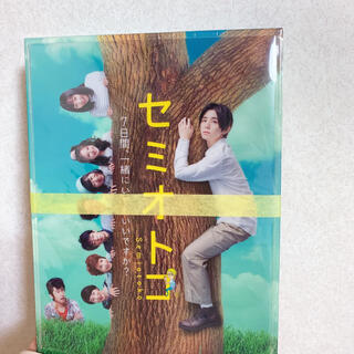 【M.M様 専用】セミオトコ DVD Box(TVドラマ)