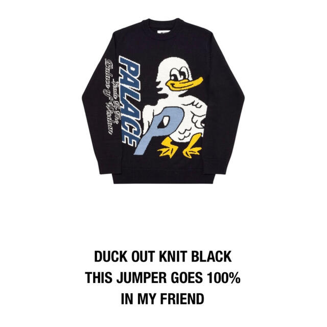 PALACE skateboards DUCK OUT knit 新品未使用