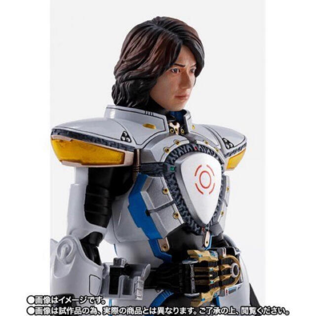 S.H.Figuarts（真骨彫製法） 仮面ライダーイクサ