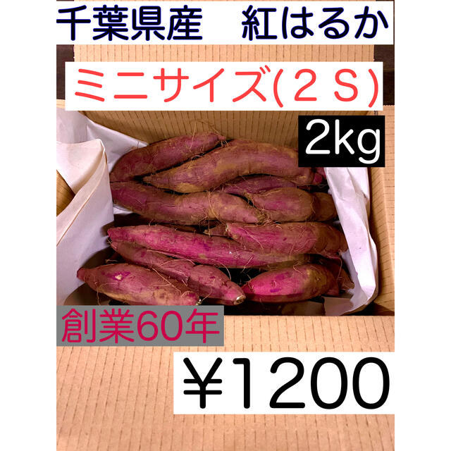 千葉県産　サツマイモ(紅はるか) ２Ｓ　土つき　2kg 食品/飲料/酒の食品(野菜)の商品写真