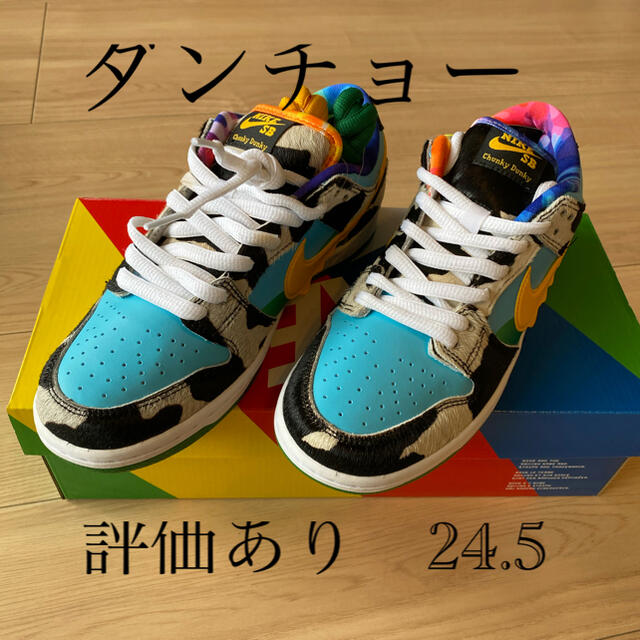 BEN & JERRY'S NIKE SB DUNK LOW