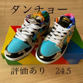 ナイキ(NIKE)のBEN & JERRY'S NIKE SB DUNK LOW(スニーカー)