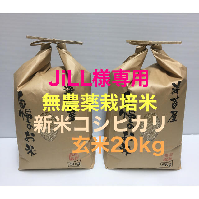JiLL様専用 無農薬 新米コシヒカリ玄米20kg(5kg×4)令和2年 徳島産 spz.hr