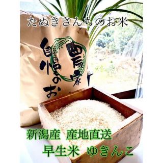 たぬきさんちのお米(新潟県産早稲米ゆきんこ)5kg(米/穀物)