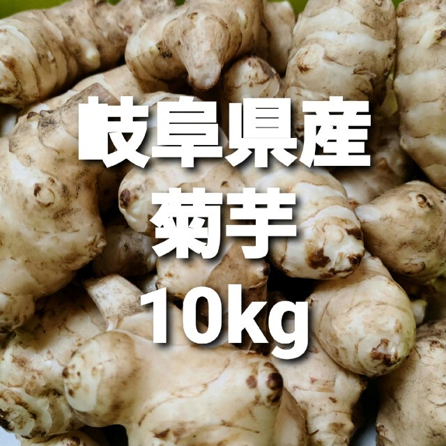 岐阜県産 無農薬 菊芋 10kg 洗浄済み お得！ 食品/飲料/酒の食品(野菜)の商品写真