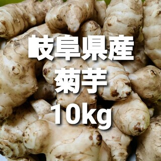 岐阜県産 無農薬 菊芋 10kg 洗浄済み お得！(野菜)