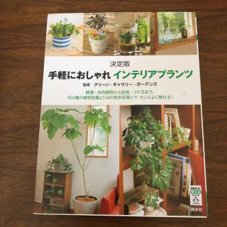 手軽におしゃれインテリアプランツ 観葉・多肉植物から盆栽・コケ玉まで、１０４種の(趣味/スポーツ/実用)