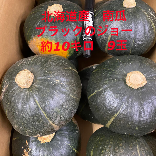 北海道産南瓜　ブラックのジョー 食品/飲料/酒の食品(野菜)の商品写真