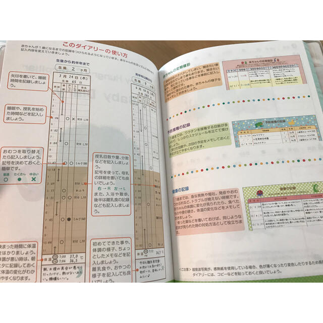 育児ダイアリー エンタメ/ホビーの本(住まい/暮らし/子育て)の商品写真