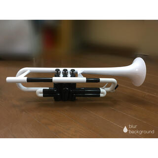 ［【値下げ】ピートランペットプラスチック製管楽器 (トランペット)