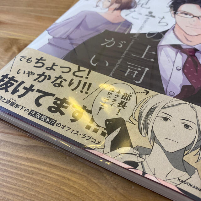 角川書店(カドカワショテン)のうちの上司は見た目がいい　一巻 エンタメ/ホビーの漫画(女性漫画)の商品写真