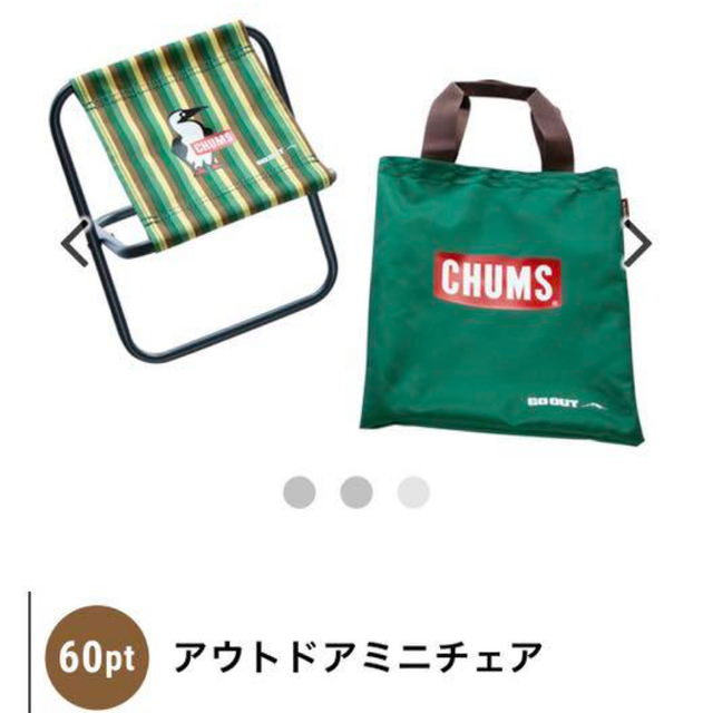 CHUMS(チャムス)のマウントレーニア GO OUT CHUMS ミニチェア スポーツ/アウトドアのアウトドア(テーブル/チェア)の商品写真