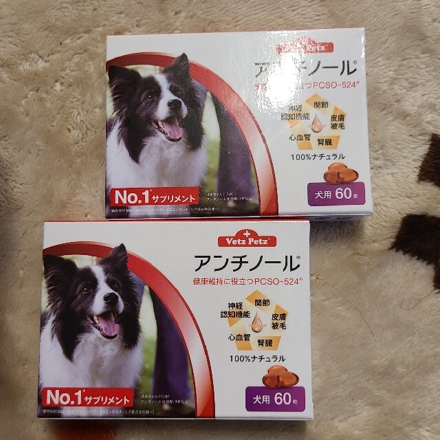 犬用アンチノール 60粒 2箱