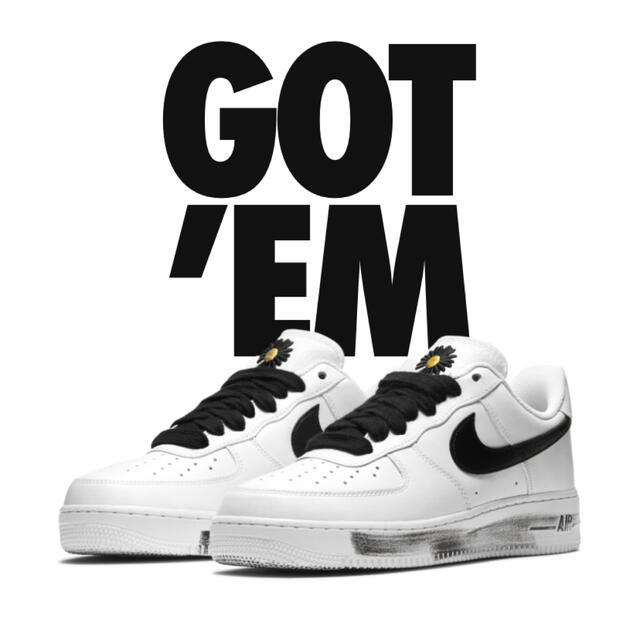 NIKE AIR FORCE 1 パラノイズ　28cm US10