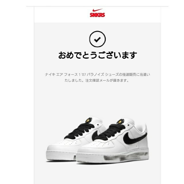 NIKE × G-DRAGON ナイキ エアフォース1 パラノイズ 27cm靴/シューズ