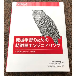 機械学習のための特徴量エンジニアリング その原理とPythonによる実践(コンピュータ/IT)