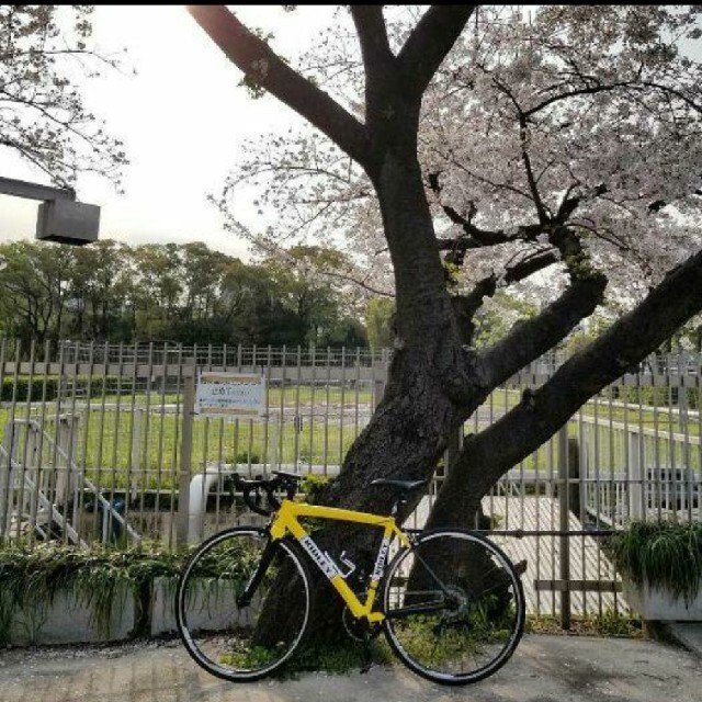品質は非常に良い FENIX ロードバイク RIDLEY - MERIDA AL 11SPEED