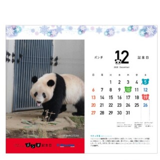 松坂屋　クリアファイル　12月　シャンシャン　上野動物園　パンダ記念日　　(クリアファイル)