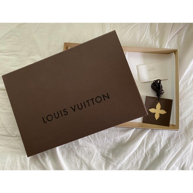 LOUIS VUITTON(ルイヴィトン)のルイヴィトン　マフラー　グレー レディースのファッション小物(マフラー/ショール)の商品写真