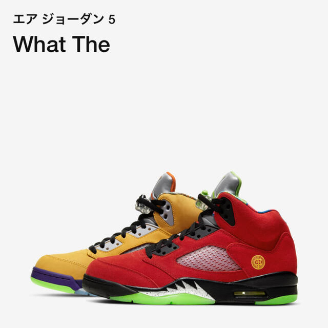 NIKE AIR JORDAN5 RETRO SE What the