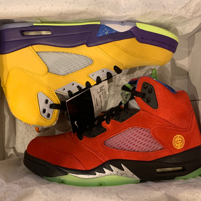 NIKE AIR JORDAN5 RETRO SE What the