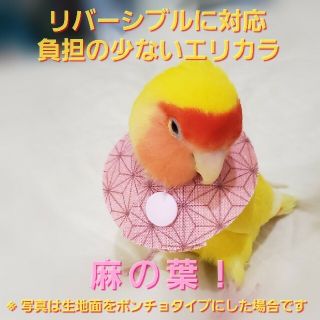 インコ エリザベスカラー(麻の葉)1枚・3サイズ・4g(鳥)