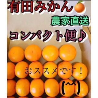 和歌山　有田みかん　新鮮コンパクト便☆(フルーツ)