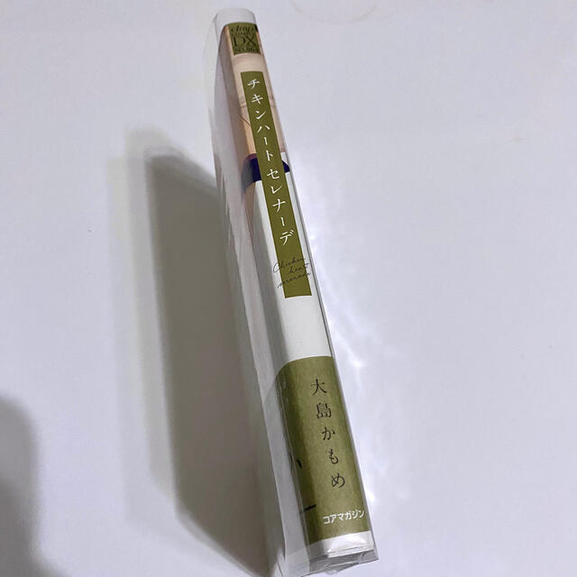 激レア品 大島かもめ 生原稿 BL チキンハート・セレナーデ 番外編