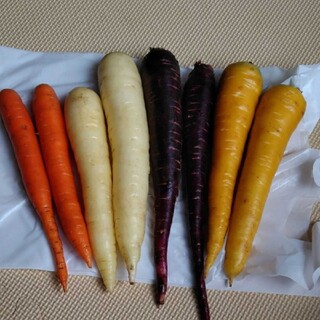 千葉県産カラフルにんじん1.5kg(野菜)
