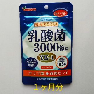 乳酸菌3000億個　YK-1　山本漢方製薬(その他)