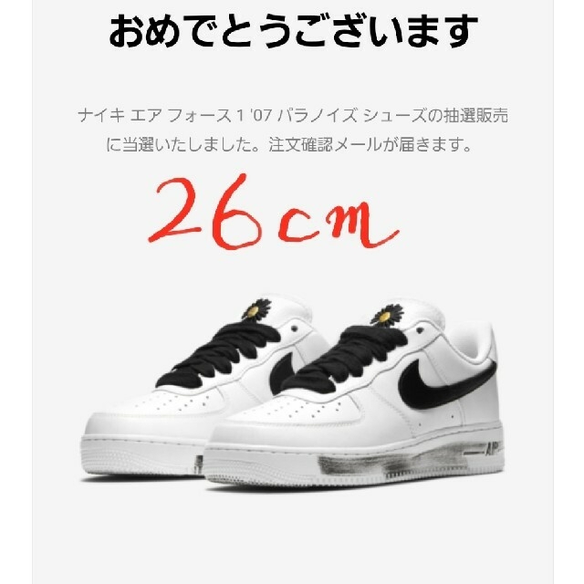 NIKE×G-DRAGON AIR FORCE 1 PARANOISE