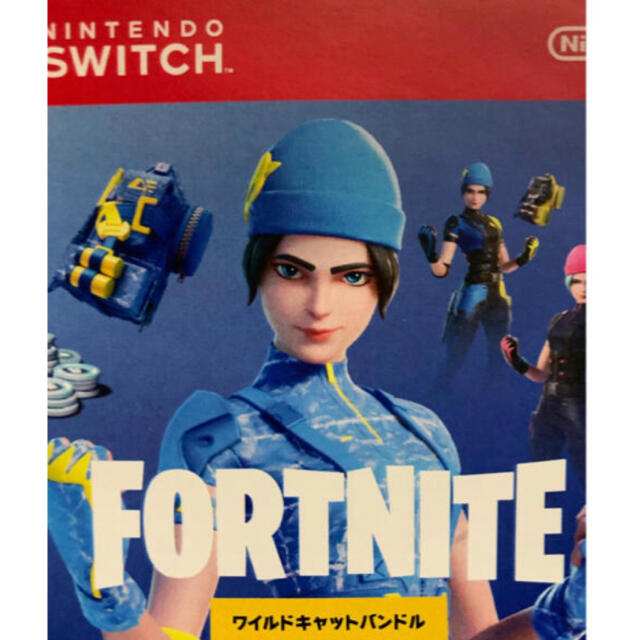 Nintendo Switch - FORTNITE フォートナイト スペシャルセット 特典