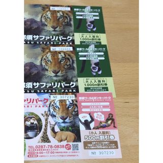 那須　ワールドモンキーパーク　割引券3枚　2500円分(動物園)