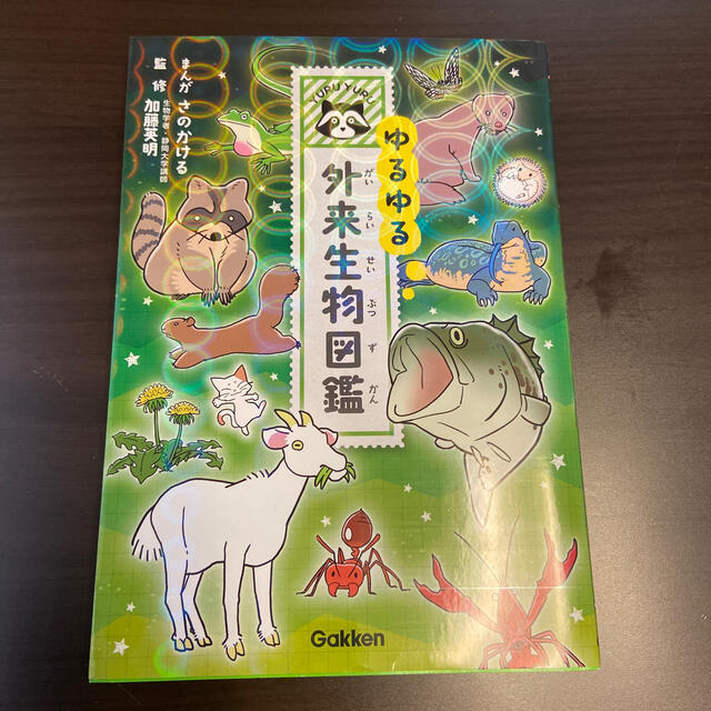 ゆるゆる外来生物図鑑の通販 By みいたん S Shop ラクマ ゆるゆる外来生物図鑑の通販 By みいたん S Shop ラクマ