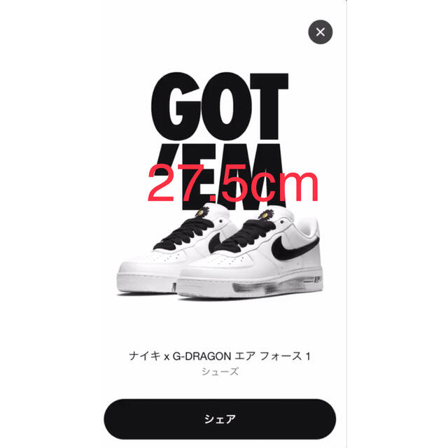 NIKE AIR FORCE1 PARA NOISE G-DRAGON 27cm