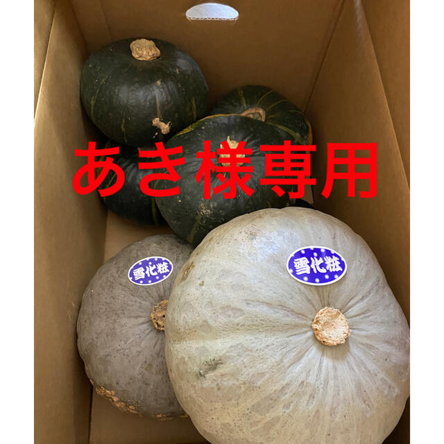 北海道産　雪化粧　ブラックのジョー 食品/飲料/酒の食品(野菜)の商品写真