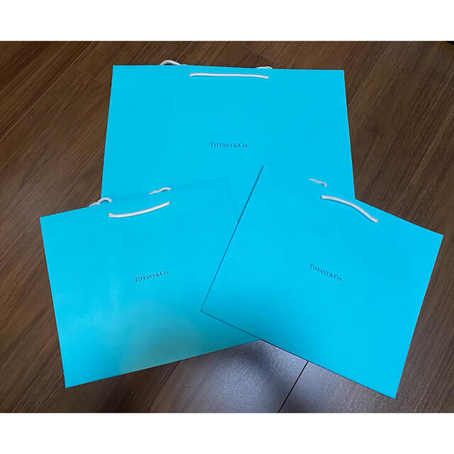 Tiffany & Co.(ティファニー)の【だいさん専用】ティファニー紙袋　2枚セット レディースのバッグ(ショップ袋)の商品写真