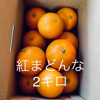 お試し!! 紅まどんな 愛媛県宇和島産 2キロ(フルーツ)