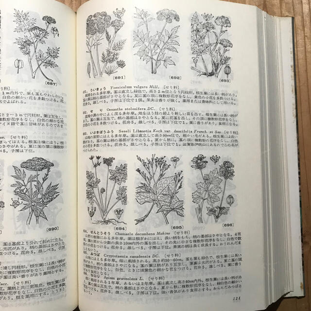 牧野日本植物図鑑 牧野富太郎著