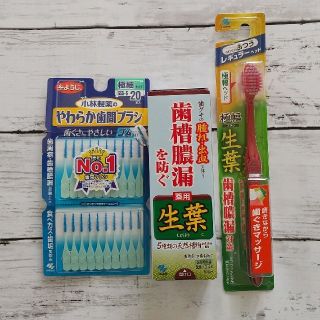 コバヤシセイヤク(小林製薬)の小林製薬　生葉　薬用歯磨き　歯ブラシ　やわらか歯間ブラシ(歯磨き粉)